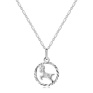 Naszyjnik ze srebra 925 - łańcuszek i znak zodiaku Koziorożec
