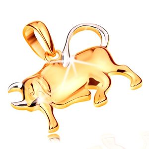 Zawieszka ze złota 585 - lśniący dwukolorowy symbol znaku zodiaku - BYK